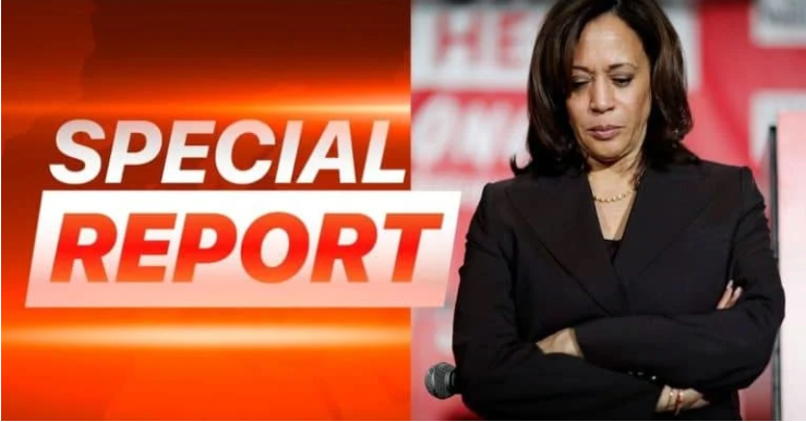 After Kamala Harris Talks Down To Rural Americans – The Vice President Gets Lit Up By Those Average Americans On Social Media
